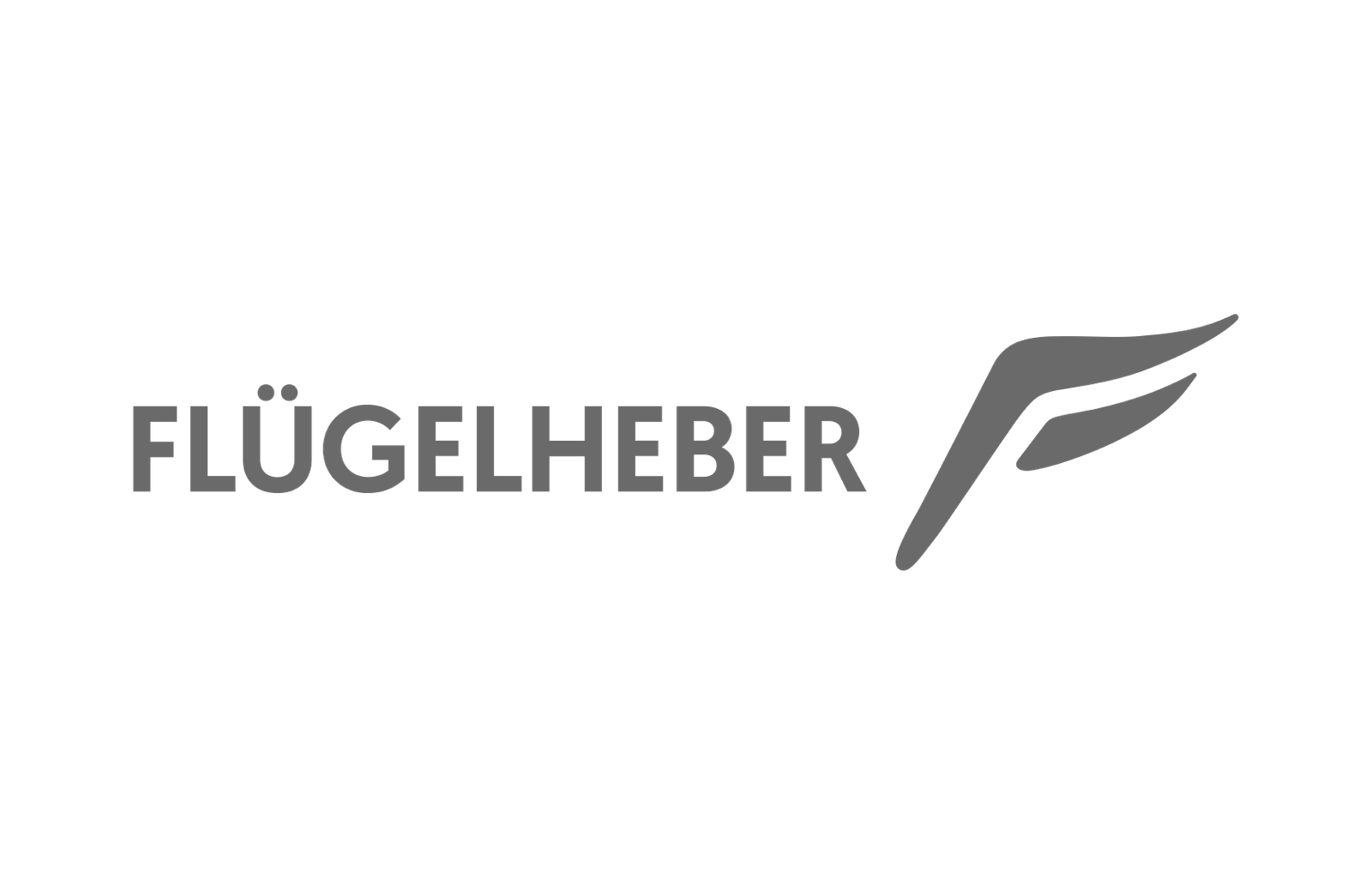 Flügelheber Branding, Logo, Website